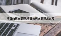 项目的英文翻译,项目的英文翻译怎么写