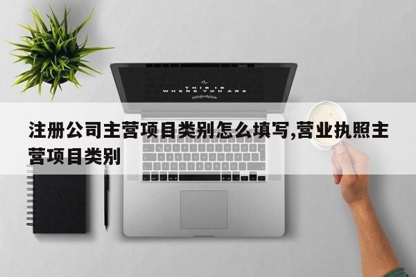 注册公司主营项目类别怎么填写,营业执照主营项目类别
