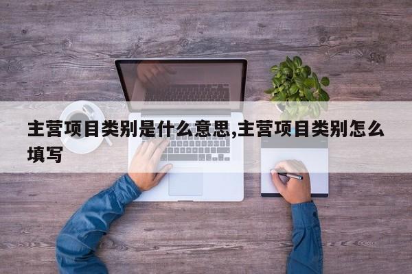 主营项目类别是什么意思,主营项目类别怎么填写